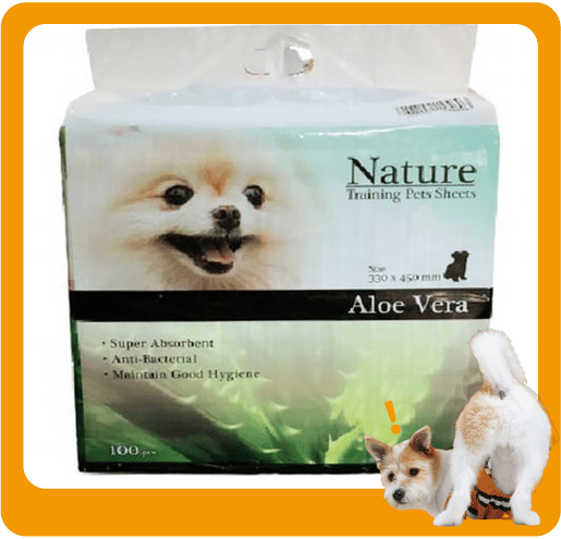 Nature 寵物尿墊 狗尿墊 狗尿片 蘆薈香味 [33x45 1.5尺 100枚] (P00012) (圖片1)