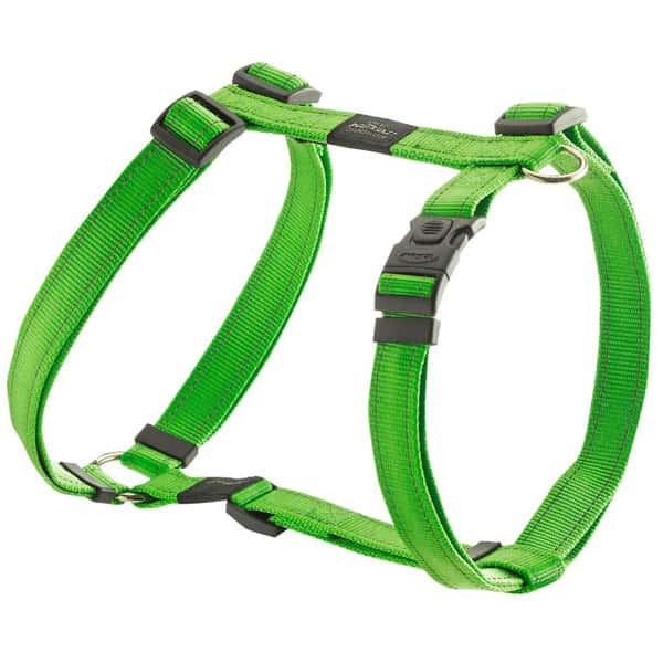 ROGZ 胸背帶 工字款 L 青色 (SJ06-L) (圖片1)