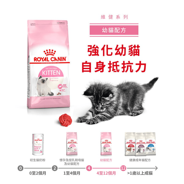 Royal Canin 貓糧 法國皇家貓糧 Kitten 健康營養系列 FHN 幼貓營養配方 K36 10kg (2522100012) (圖片3)