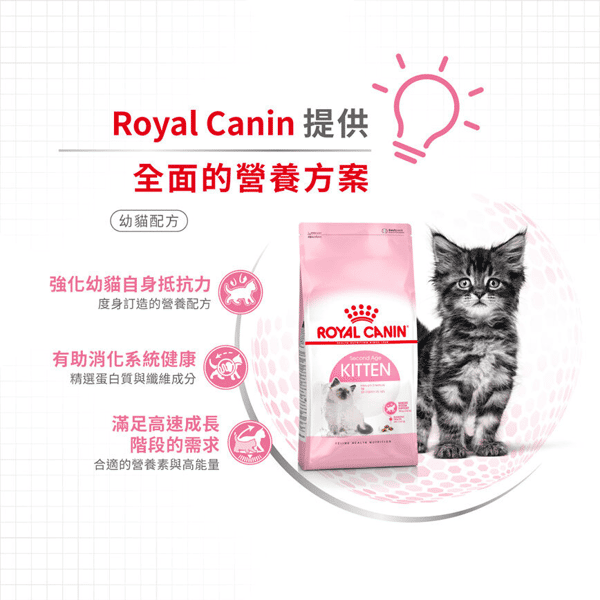 Royal Canin 貓糧 法國皇家貓糧 Kitten 健康營養系列 FHN 幼貓營養配方 K36 10kg (2522100012) (圖片4)