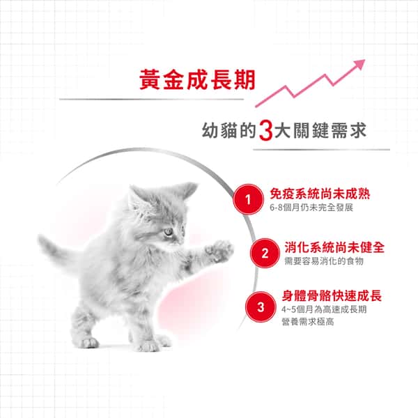 Royal Canin 貓糧 法國皇家貓糧 Kitten 健康營養系列 FHN 幼貓營養配方 K36 4kg (2522040012) (圖片6)