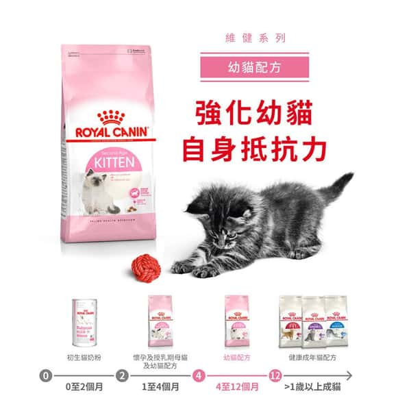Royal Canin Royal Canin 貓糧 法國皇家貓糧 Kitten 健康營養系列 FHN 幼貓營養配方 K36 2kg 2kg 正面圖