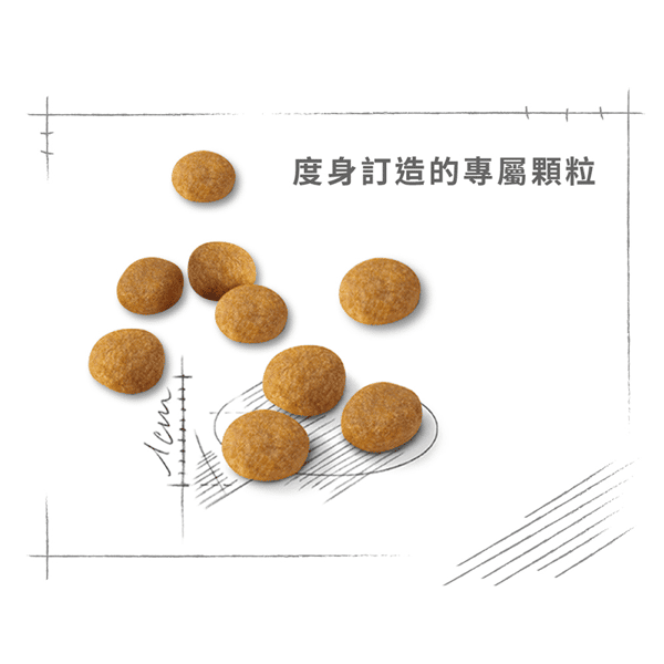 Royal Canin Royal Canin 貓糧 法國皇家貓糧 成貓濃郁香味挑嘴配方 EXA 2kg 2kg 特寫圖