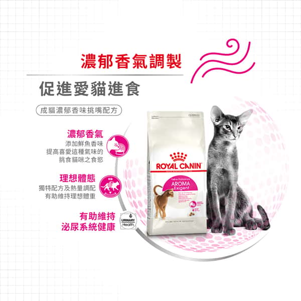 Royal Canin 貓糧 法國皇家貓糧 成貓濃郁香味挑嘴配方 EXA 4kg (2300700) (圖片5)