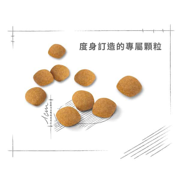 Royal Canin 貓糧 法國皇家貓糧 超級營養配方 EXP 2kg (2301500) (圖片6)