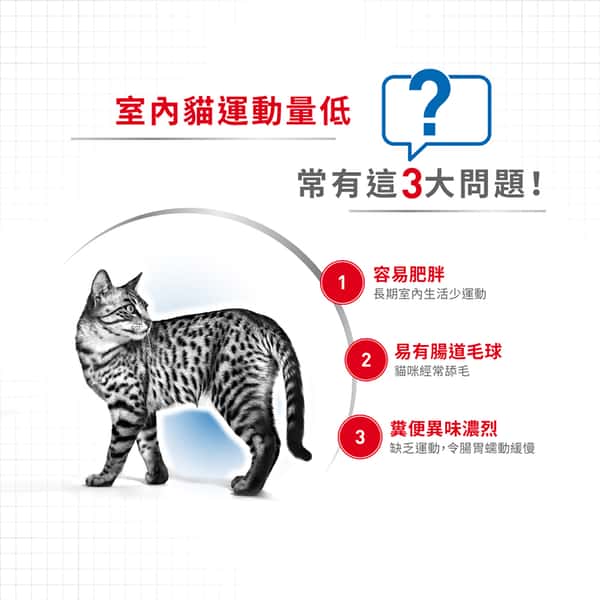 Royal Canin Royal Canin 貓糧 法國皇家貓糧健康營養系列 室內成貓營養配方 IN27 10kg 10kg 背面圖