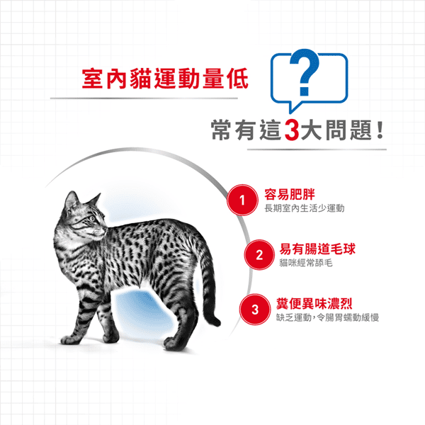 Royal Canin 貓糧 法國皇家貓糧 健康營養系列 室內成貓營養配方 IN27 4kg (2529040011) (圖片4)