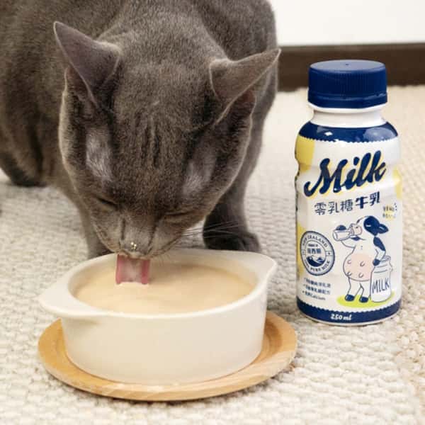 汪喵星球 汪喵星球 DogCatStar 零乳糖牛乳 250ml 250ml 貓犬用 側面圖