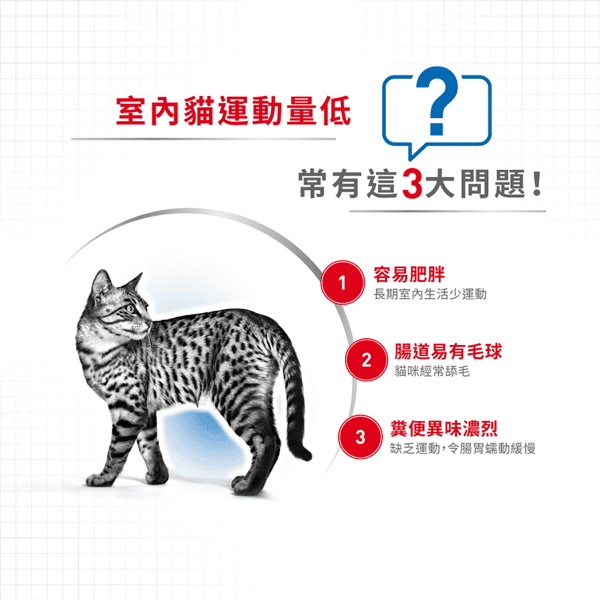 Royal Canin 貓糧 法國皇家貓糧 健康營養系列 室內成貓食量控制營養配方 INAC29 4kg (2297500) (圖片4)