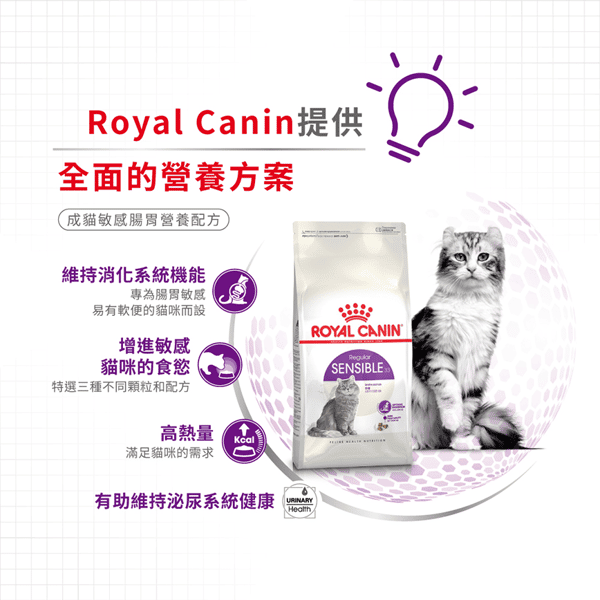 Royal Canin 貓糧 法國皇家貓糧 腸胃敏感配方 S33 15kg (2521150011) (圖片5)