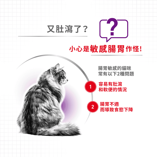 Royal Canin 貓糧 法國皇家貓糧 腸胃敏感配方 S33 4kg (2521040011) (圖片4)