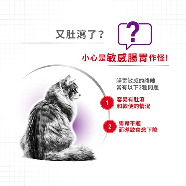 Royal Canin 貓糧 法國皇家貓糧 腸胃敏感配方 S33 2kg (2521020011) (圖片4)