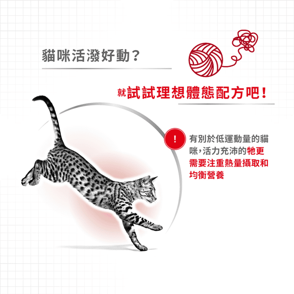 Royal Canin 貓糧 法國皇家貓糧 成貓全效健康營養配方 FIT32 4kg (2520040011) (圖片4)