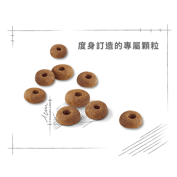 Royal Canin 貓糧 法國皇家貓糧 成貓全效健康營養配方 FIT32 4kg (2520040011) (圖片6)
