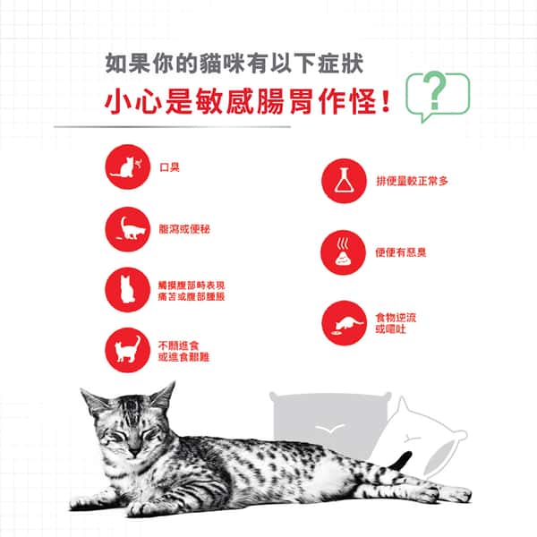 Royal Canin 貓糧 法國皇家貓糧 加護系列 成貓消化道加護配方 DGC38 4kg (3133500) (新舊包裝隨機發貨) (圖片4)