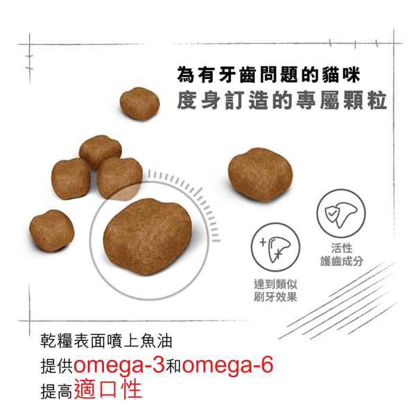 Royal Canin 貓糧 法國皇家貓糧 去牙石成貓高效潔齒加護配方 OS30 8kg (2532080011) (圖片6)