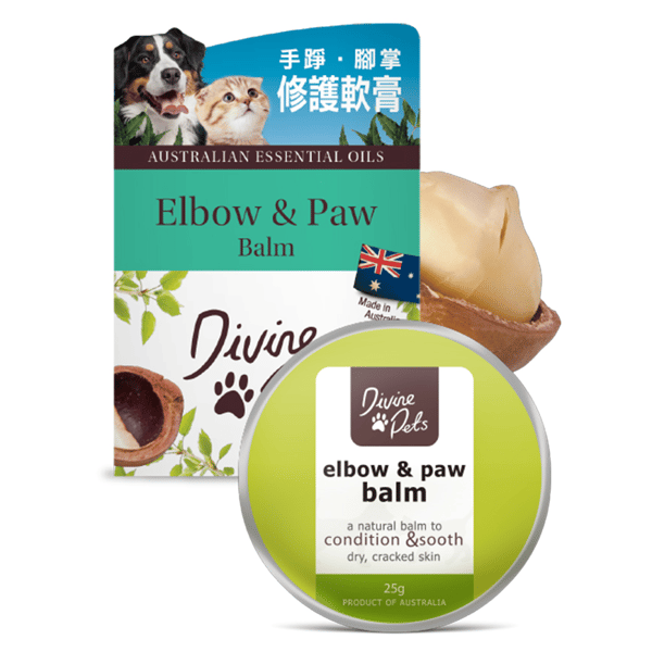 Divine Pets 手踭&腳掌修護軟膏 25g (DP_25_B) (圖片1)