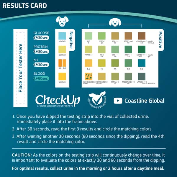 CheckUp CheckUp Pro 狗用尿液檢測套裝  狗用 側面圖