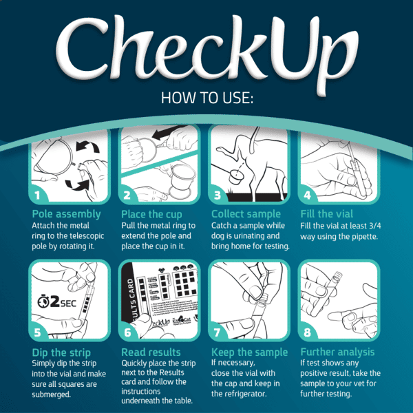 CheckUp CheckUp Pro 狗用尿液檢測套裝  狗用 特寫圖