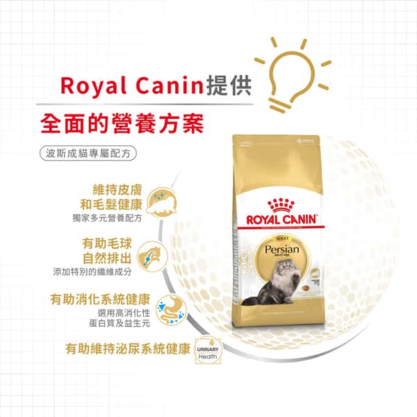 Royal Canin 貓糧 法國皇家貓糧 純種系列 波斯成貓專屬配方 PS30 10kg (2552100011) (圖片5)