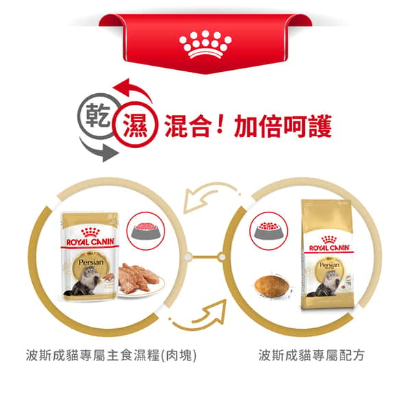 Royal Canin 貓糧 法國皇家貓糧 純種系列 波斯成貓專屬配方 PS30 10kg (2552100011) (圖片6)