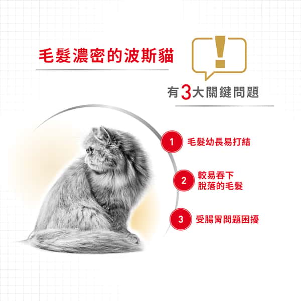 Royal Canin 貓糧 法國皇家貓糧 純種系列 波斯成貓專屬配方 PS30 2kg (2552020011) (圖片4)