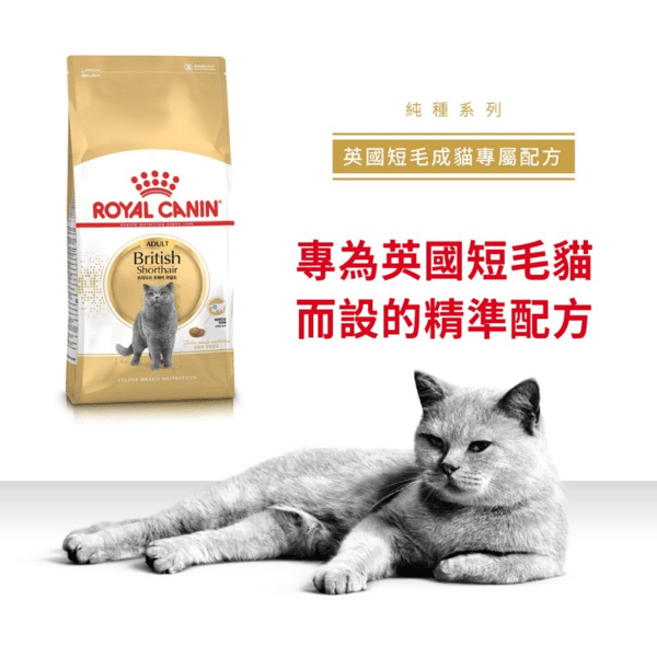 Royal Canin Dry Cat Food - Adult British Shorthair BSH 10kg (2557100010) (圖片3)