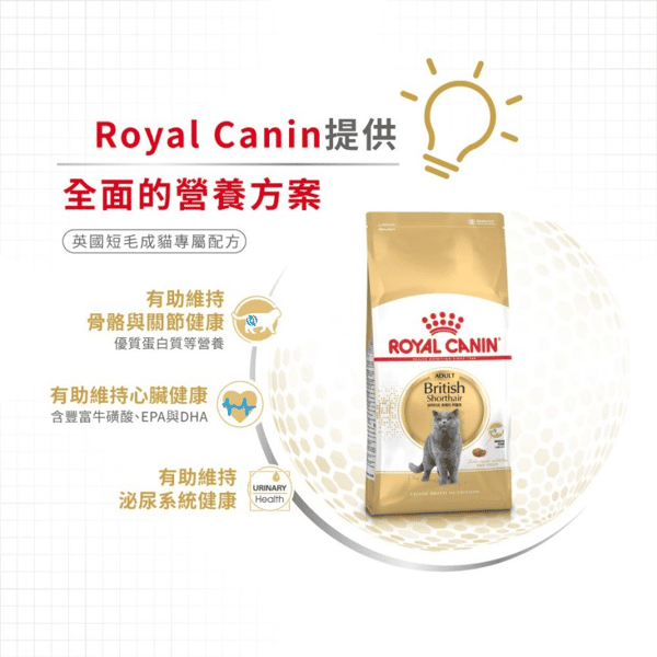 Royal Canin Dry Cat Food - Adult British Shorthair BSH 10kg (2557100010) (圖片5)