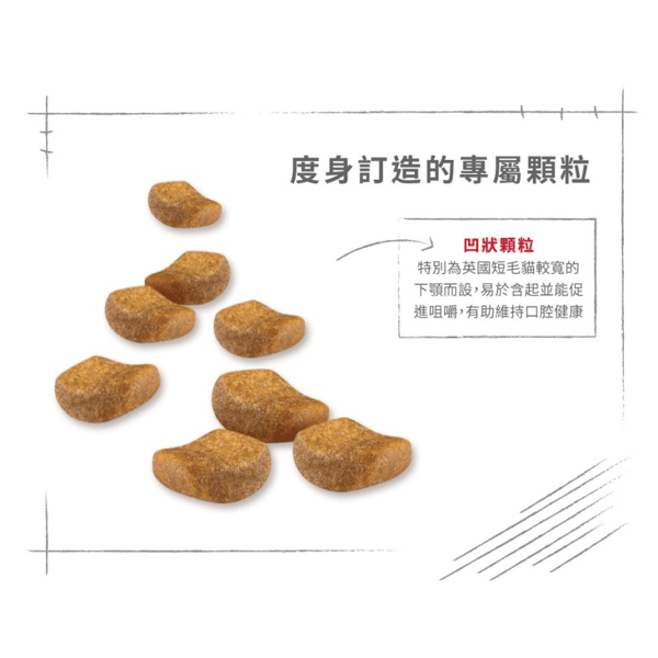 Royal Canin Dry Cat Food - Adult British Shorthair BSH 10kg (2557100010) (圖片6)