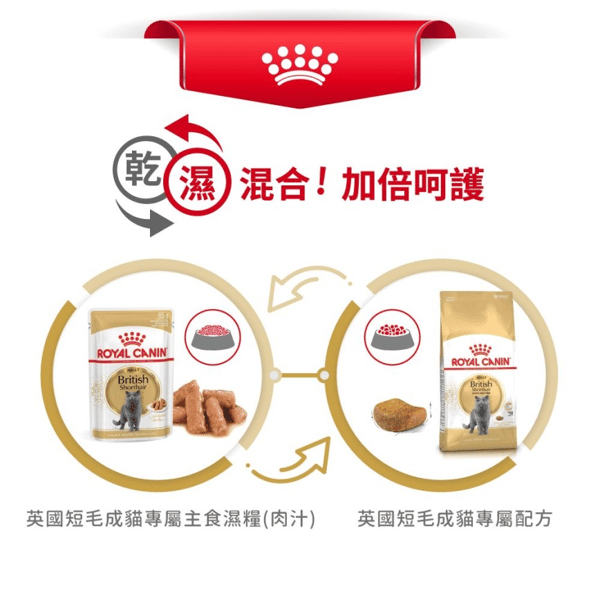 Royal Canin Dry Cat Food - Adult British Shorthair BSH 10kg (2557100010) (圖片7)