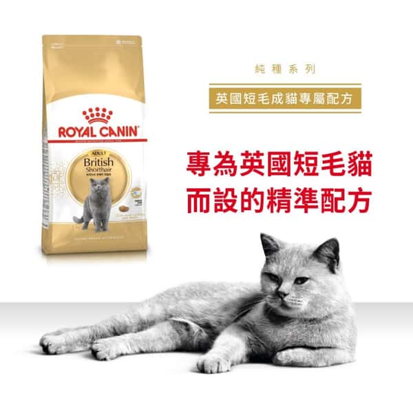Royal Canin Royal Canin 貓糧 法國皇家貓糧 純種系列 英國短毛成貓專屬配方 BSH 4kg 4kg 正面圖