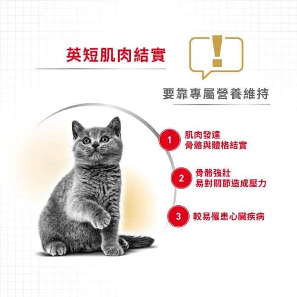 Royal Canin Royal Canin 貓糧 法國皇家貓糧 純種系列 英國短毛成貓專屬配方 BSH 4kg 4kg 背面圖