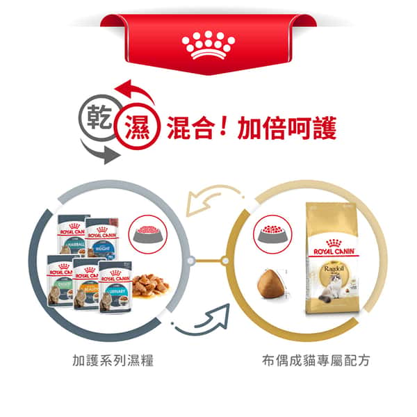 Royal Canin 貓糧 法國皇家貓糧 純種系列 布偶成貓專屬配方 RD 10kg (2515100010) (圖片7)