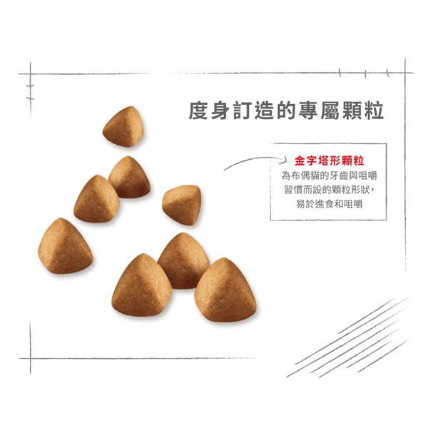 Royal Canin 貓糧 法國皇家貓糧 純種系列 布偶成貓專屬配方 RD 2kg (2515020010) (圖片5)