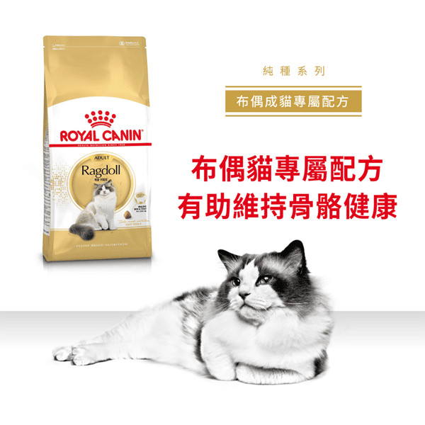 Royal Canin 貓糧 法國皇家貓糧 純種系列 布偶成貓專屬配方 RD 2kg (2515020010) (圖片6)