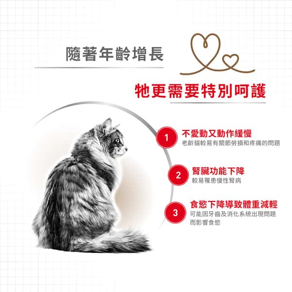Royal Canin 貓糧 法國皇家貓糧 老年貓配方 12+ AG30 4kg (2270800) (圖片4)