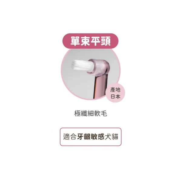 汪喵星球 汪喵星球 DogCatStar 犬貓專用牙刷 細軟毛 單束平頭款 單支裝 背面圖