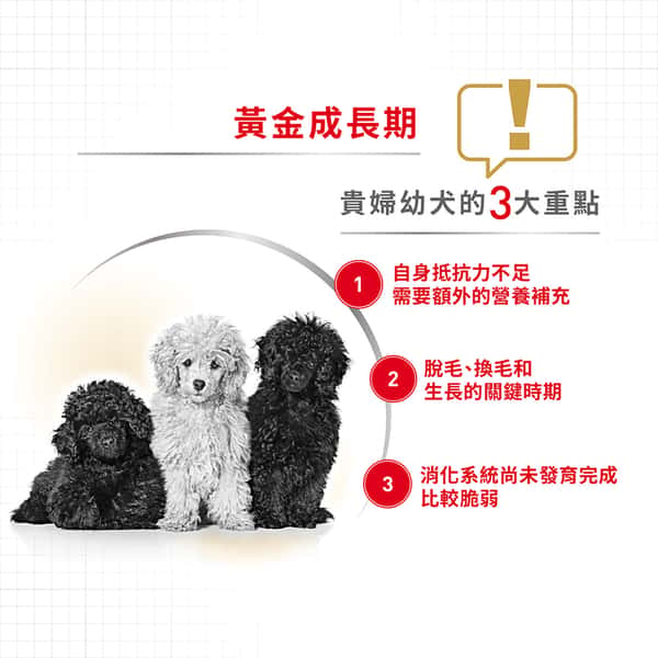 Royal Canin Royal Canin 狗糧 法國皇家狗糧 純種系列 貴婦狗幼犬專屬配方 貴婦幼犬糧 PDJ 3kg 3kg 背面圖