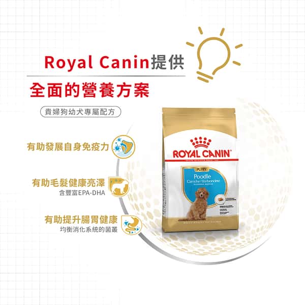 Royal Canin Royal Canin 狗糧 法國皇家狗糧 純種系列 貴婦狗幼犬專屬配方 貴婦幼犬糧 PDJ 3kg 3kg 側面圖