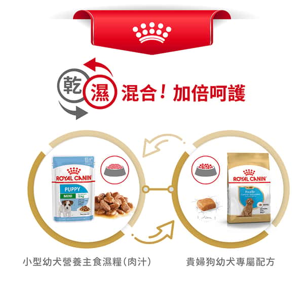 Royal Canin Royal Canin 狗糧 法國皇家狗糧 純種系列 貴婦狗幼犬專屬配方 貴婦幼犬糧 PDJ 3kg 3kg 包裝圖