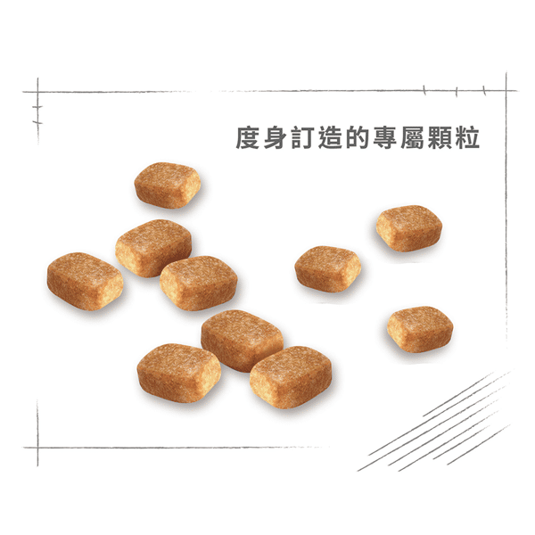 Royal Canin 狗糧 法國皇家狗糧 純種系列 芝娃娃成犬專屬配方 芝娃娃成犬糧 CHH28 1.5kg (2550900) (圖片6)