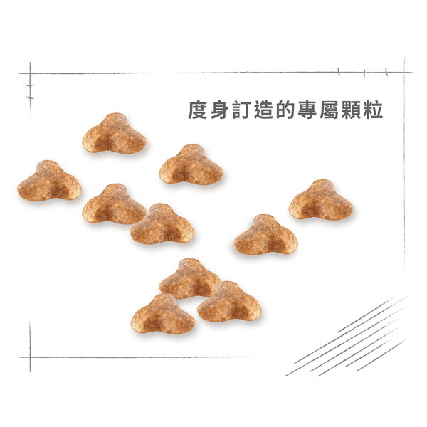 Royal Canin 狗糧 法國皇家狗糧 純種系列 八哥成犬專屬配方 PUG 3kg (2557300) (圖片6)