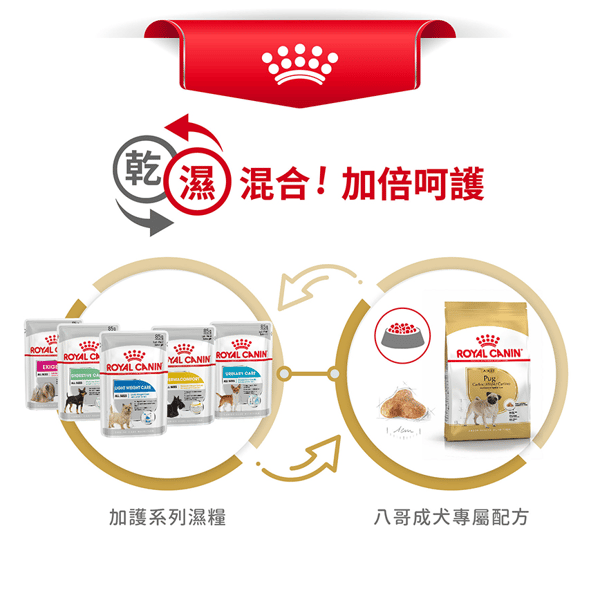 Royal Canin 狗糧 法國皇家狗糧 純種系列 八哥成犬專屬配方 PUG 3kg (2557300) (圖片7)