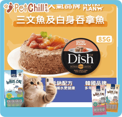 Nutriplan 營養企劃 Dish 貓罐頭 韓國100%人用級別配方 三文魚及白身吞拿魚 85g (64624) (圖片3)