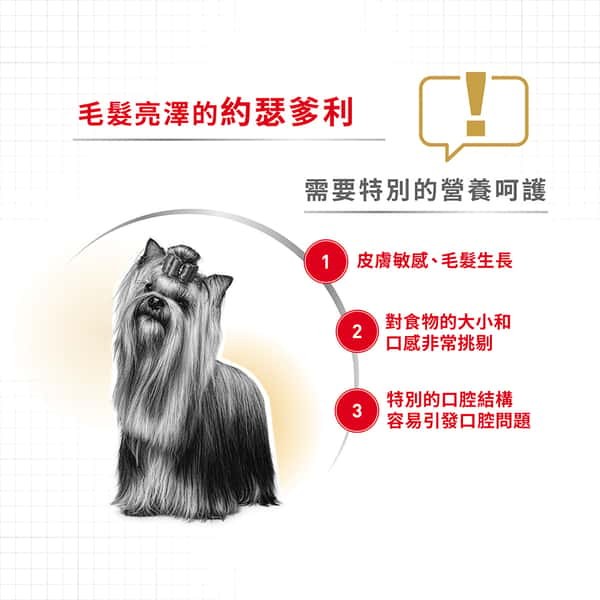 Royal Canin Royal Canin 狗糧 法國皇家狗糧 純種系列 約瑟爹利成犬專屬配方 約瑟爹利成犬糧 PRY28 3kg 3kg 正面圖