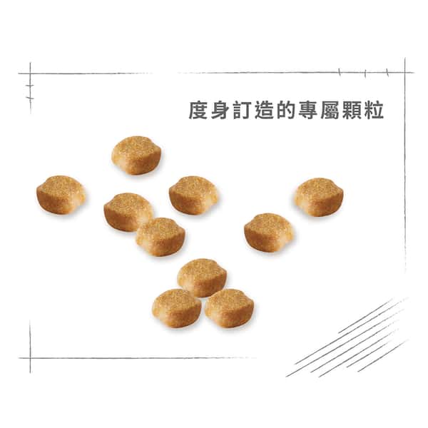 Royal Canin Royal Canin 狗糧 法國皇家狗糧 純種系列 約瑟爹利成犬專屬配方 約瑟爹利成犬糧 PRY28 3kg 3kg 正面圖