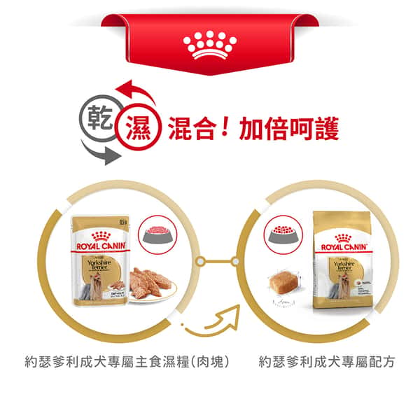 Royal Canin Royal Canin 狗糧 法國皇家狗糧 純種系列 約瑟爹利成犬專屬配方 約瑟爹利成犬糧 PRY28 3kg 3kg 正面圖