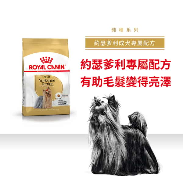 Royal Canin Royal Canin 狗糧 法國皇家狗糧 純種系列 約瑟爹利成犬專屬配方 約瑟爹利成犬糧 PRY28 1.5kg 5kg 正面圖
