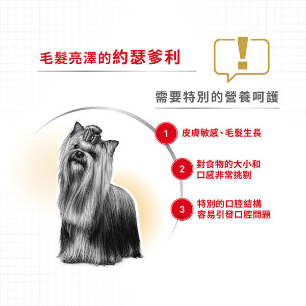 Royal Canin Royal Canin 狗糧 法國皇家狗糧 純種系列 約瑟爹利成犬專屬配方 約瑟爹利成犬糧 PRY28 1.5kg 5kg 背面圖