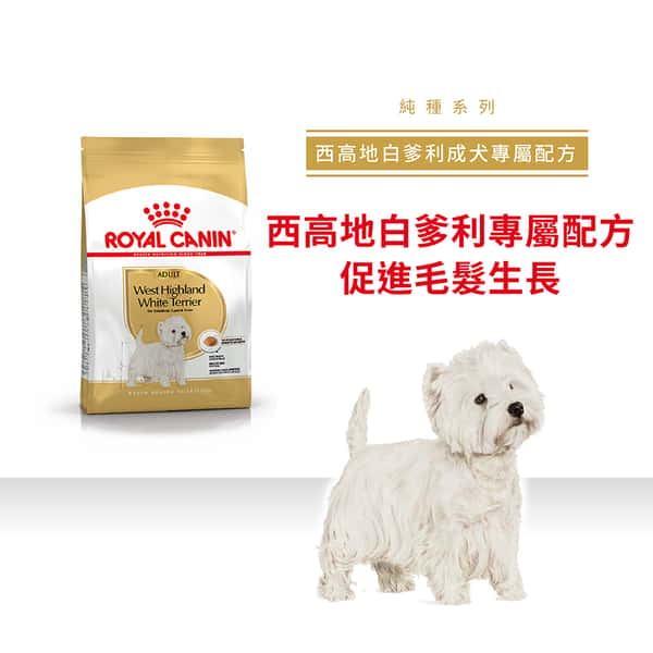 Royal Canin Royal Canin 狗糧 法國皇家狗糧 純種系列 西高地白爹利成犬專屬配方 西高地白爹利成犬糧 WH21 1.5kg 5kg 正面圖
